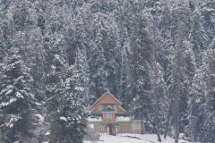 1_Gallery-9
